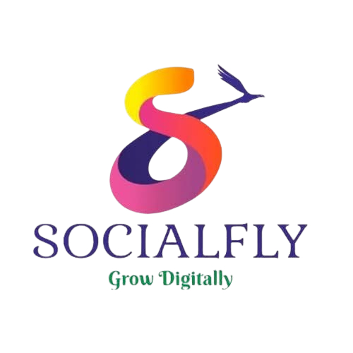 Socialfly Infotec Company Logo